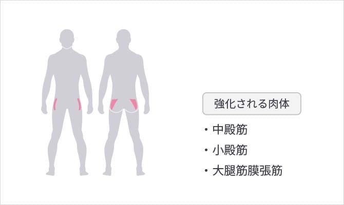 【強化される肉体】中殿筋/小殿筋/大腿筋膜張筋