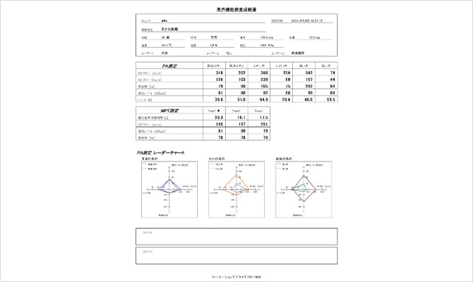 出力フォーマット例